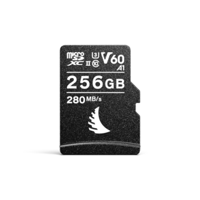 앤젤버드 V60 AV PRO micoSD 메모리카드, 256GB, 1개