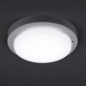 원하 LED 스마트 유백 직부등 주광색 15W, 화이트, 1개