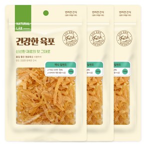 내츄럴랩 건강한 육포 강아지 간식, 칠면조, 100g, 3개