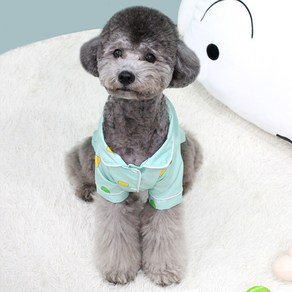 닥터블랭크 반려동물 블랭크도그 짱구 흰둥이 캐릭터 셔츠, MINT, 1개