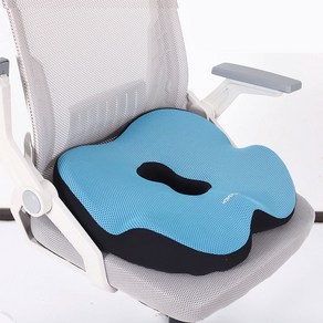 지금오늘 6D 세대교체 사무실 공부방 임산부 신형 입체공학 방석, 블루
