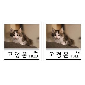 쁘띠팬시 펫 사인 F35115, 2개, 고정문 고양이