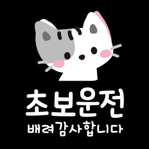 제제데코 투번 칼라 자동차 스티커 TC002 초보운전 배려 아름이, 혼합색상, 1개