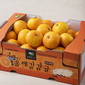 올레길감귤 해풍맞은 올레길 Ai선별 타이벡 12Bix 감귤, 2kg, 1개