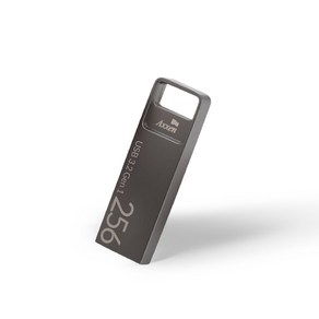 액센 Squae USB3.2 Gen1 메탈타입 USB메모리 SK31, 256GB, 1개