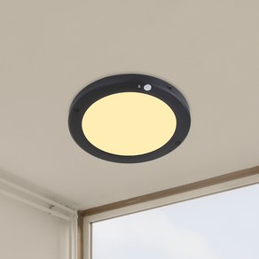 원하 DS 원형 슬림 엣지 센서등 LED 20W 20.3cm, 블랙 + 전구색, 1개