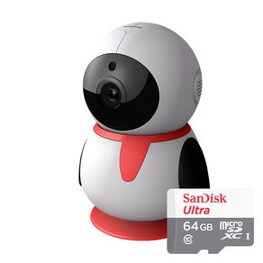 펭카 FULL HD 200만화소 홈CCTV IP네트워크 회전형 + SD 메모리 카드 64GB, PE204, 1개