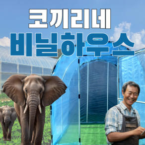 코끼리네 조립식 비닐하우스 강화형 온실 자재 미니 소형 대형 창고 농업용 농막, 1개, 폭(3m)*길이(6m)*높이(2m)