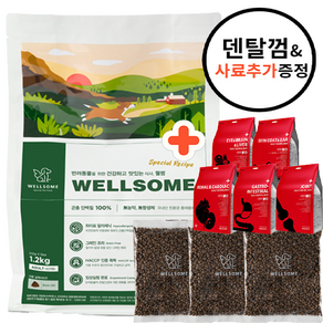 웰썸 곤충사료 1.2kg 3.6kg 그레인프리 강아지 피부 알러지 아토피 눈물 관절 사료, 웰썸3.6kg+추가사료 600g+메디코펫덴탈바3p, 1개