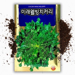 치커리 씨앗(2000립), 1개