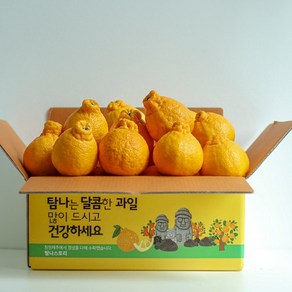 제주 고당도 한라봉 못난이 꼬마 선물용 가정용, 5kg 소과(24~32개입), 1개