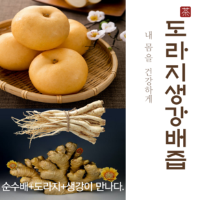 산지직송 하동 배즙 도라지배즙 도라지생강배즙 110ml