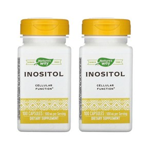 네이처스웨이 이노시톨 500mg 100캡슐 2병 Inositol, 2개, 기본, 100정