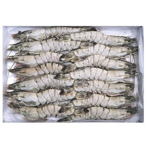 블랙타이거새우 500g 20미, 1개