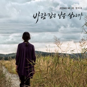 [CD] 정미조 - 바람같은 날을 살다가, Univesal, CD