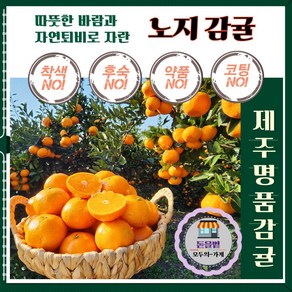 [돋을볕] 제주 명품 노지 감귤 [상품 로얄과] NO착색 NO후숙 NO약픔 NO코팅, 1개, 2.5kg