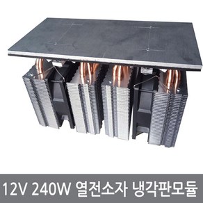 12V 240W 열전소자 냉각판 펠티어 냉기 냉각 모듈, 12V240W상부냉각판, 1개