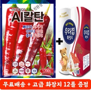 고추 종자 AI칼탄 1200립 [25년 판매용] 현대종묘 품종 에이아이칼탄 복합 탄저, 1개