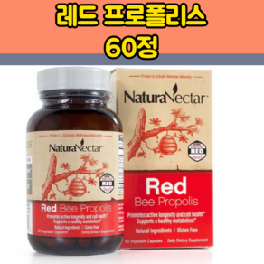 NatuaNecta] 레드 꿀벌 프로폴리스 브라질산 60캡슐, 1개, 60정, 60정