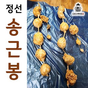 100% 자연산 강원도 정선 송근봉 1kg 직접 채취하고 다듬은 송금봉, 송근봉 1kg(연결 작업 X), 1개