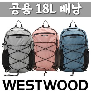 웨스트우드 WESTWOOD 공용 18L 등산 배낭 N1/101, 그레이 블루(GB)