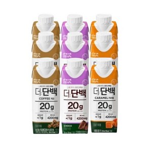 빙그레 더단백 드링크 카라멜 초코 커피 250ml 18팩 36팩 프로틴 단백질 음료