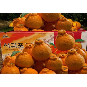 [황금농원] 고당도 서귀포 하우스한라봉 3kg 5kg, 벌크5kg중과(18-20과)