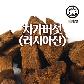 대흥한방 차가버섯 500g 러시아산