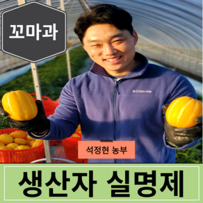 [생산자직송] 고당도 미니 꼬마 성주 참외 3kg 5kg 10kg, 1세트, [가정용] 꼬마과 3kg