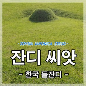 한국잔디씨앗20g봉 산소 정원 공원용 최신제품 파종레시피및 마른모래증정, 2개