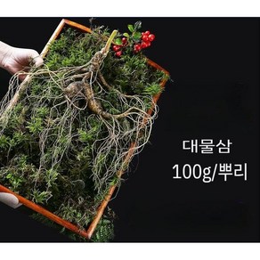 20년근 백두산 임하삼 장뇌삼 산양산삼 100g/뿌리, 100g, 1개