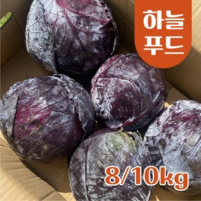 (10kg/Box) 수입 적채 적양배추 식자재 빨간양배추