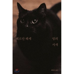 밤의 사색:헤르만 헤세 산문집, 반니, 헤르만 헤세