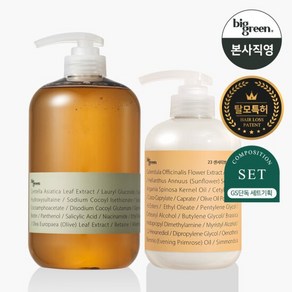 빅그린 탈모 시카샴푸 1000ml+23센서티브 트리트먼트 500ml 세트, 1개