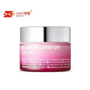 아이소이 블레미쉬 케어 업 흔적크림, 35ml, 1개