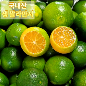 [국내산] 특품 생깔라만시 깔라만시 비타민C 디톡스 300g 500g 1kg, 1개