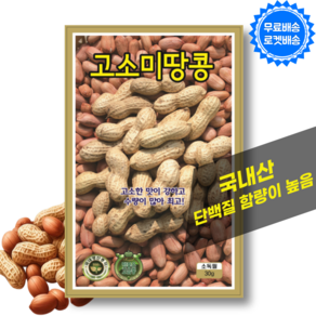 땅콩씨앗 (30g) 국내산 땅콩종자 땅콩씨 파종, 1개