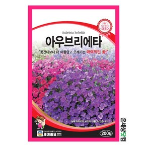 아우브리에타 200립 / 씨앗 종자 화단 정원 조경 다년생 오래피는꽃 오브리에타, 1개