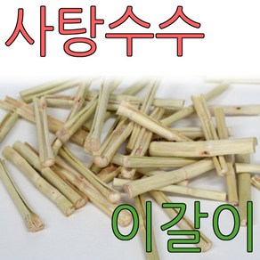 사탕수수 스틱 이갈이 20g 50g 100g 300g 1kg 햄스터 토끼 기니피그 앵무새 간식 먹이, 1개, 100g - 비닐팩소포장