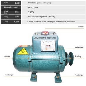 220V 고전력 1000W 소형 발전기 가정용 조명 영구 자석 브러시리스 가압기 미세 와이어 코어, 없음