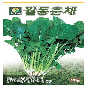 다농 월동춘채 씨앗 20g, 1개