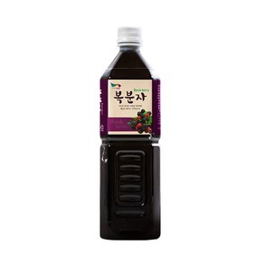 해담은베리 맛있는 복분자90, 1L, 1개