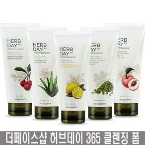 더페이스샵 허브데이 365 마스터블렌딩 클렌징폼, 1개, 170ml