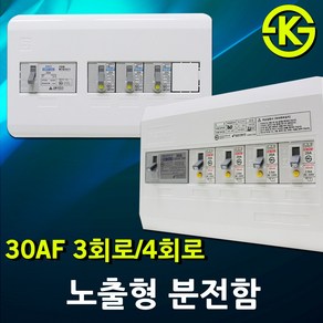 노출형 분전반 분전함 3회로 4회로 차단기함 배전함 배전반 완전조립형 누전차단기 배선차단기 3분기 4분기 30AF 50AF 노출형분전함 차단기 국산 전기 차단기포함 5회로 6회로, 04. 상도전기 노출형 분전함 4회로, 1개