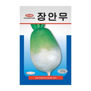 경신종묘 무씨앗 장안무 30g, 1개