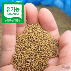 쭈팜 국내산 햇 차조 유기농 무농약 청차조 잡곡 조, 500g x 2개, 1개