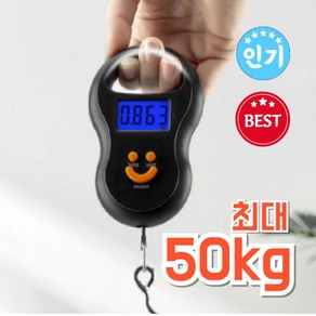 캐리어 저울 간편한 휴대용 여행 낚시 손저울 최대 50kg