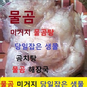 (쌍다리상회) 물곰 물곰치 1-3마리 토막손질 5-10분, 생물 물곰치 토막손질2kg내외 5-6인용 생물, 1개