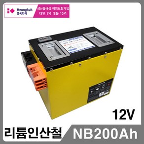 이-파워 NB200A(12V 200Ah)인산철 파워뱅크, 1개