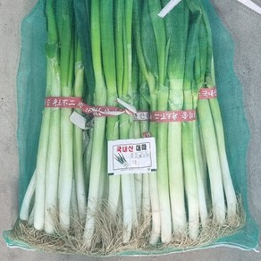 국산 대파 흙대파, 1개, 1kg